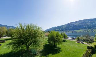 A green meadow with several trees and a view of a calm lake. In the background, gentle hills and a clear blue sky can be seen.