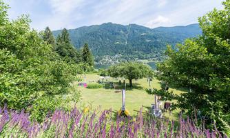 A tranquil landscape with colorful flowers in the foreground and a view of the mountains in the background. The sky is clear and nature appears peaceful.