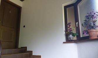 A bright hallway with a staircase leading to a door. A pot with plants stands by the window.