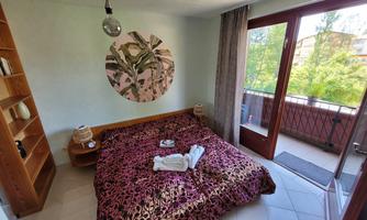 A cozy bedroom with a large bed and a decorative wall. Large windows offer a view of the greenery.