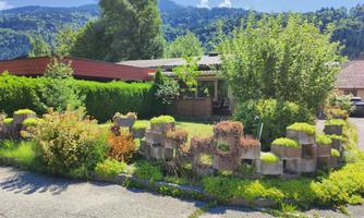 A cozy house surrounded by lush greenery and colorful plants. In the background, gentle hills and a blue sky can be seen.