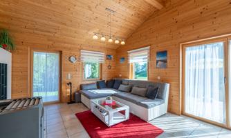 A bright living room with wooden walls and large windows. The furniture is modern and comfortable, and a red carpet adds color to the room.