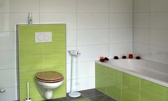 A modern bathroom with green tiles and a large bathtub. The floor has a carpet with a fish motif and there is a toilet in the corner.