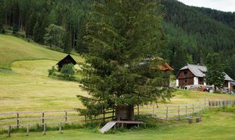 A large tree stands on a green meadow. In the background, several huts and gentle hills can be seen.