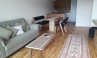 A modern living room with a gray sofa and a wooden table. The floor is made of parquet, and a rug gives the room a cozy atmosphere.