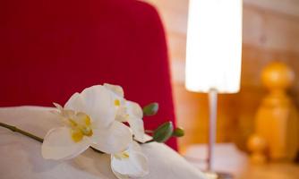 An elegant white orchid lies on a pillow. In the background, a warmly lit lamp is visible.