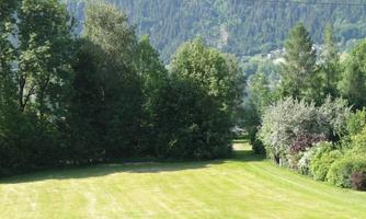 A green meadow surrounded by trees. In the background, hills and additional vegetation can be seen.