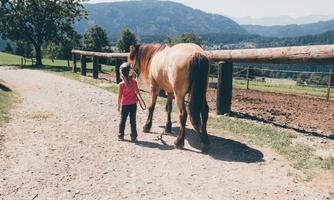 A girl is leading a horse along a gravel path. In the background, trees and mountains can be seen.