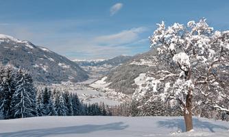 A winter landscape with snow-covered trees and mountains in the background. The sky is clear and blue, and the valley is covered with snow.