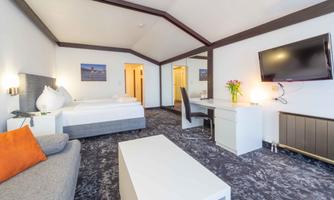 A modern hotel room with a large bed and a seating area. A desk and a television are also available, as well as a beautiful flower decoration.