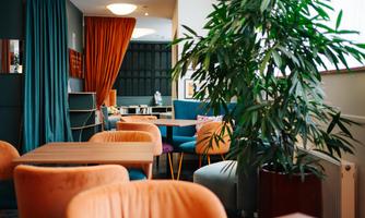 A modern café with cozy chairs and tables. Large windows let in plenty of light, and the arrangement of plants creates an inviting atmosphere.