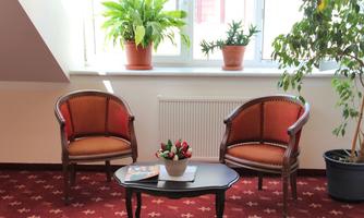 A cozy room with two chairs and a small table. On the table, there is a flower vase and there are several plants in pots by the window.