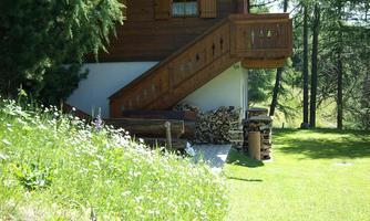 A cozy wooden house with a staircase and a beautiful garden. Surrounded by trees and colorful flowers, it is a peaceful retreat in nature.