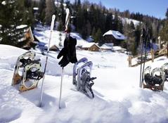 Schneeschuhwanderung Schneeschuhwanderung