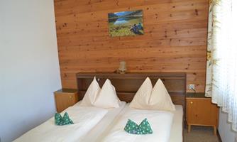 A cozy room with two single beds and wooden paneling. A lamp sits on the nightstand, and there is a beautiful view of the mountains.
