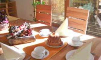 A cozy table with folded napkins, cups, and a cake. In the background, plants and sunlight can be seen.