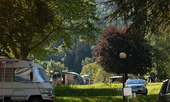 A peaceful campsite with RVs and tents in a green, wooded environment. The sun shines through the trees, creating a pleasant atmosphere.