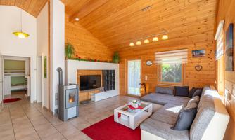 A bright living room with wooden ceilings and a cozy sofa. The room has a modern fireplace and large windows with plenty of natural light.