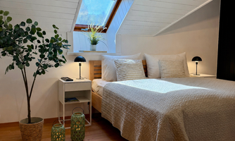 A cozy bedroom with a double bed, a sun-drenched skylight, and modern nightstands. Some plants and decorative lights create an inviting atmosphere.