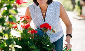 A woman gardening with a watering can. She is smiling and taking care of colorful flowers in pots.