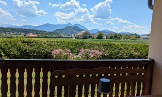 View from the terrace