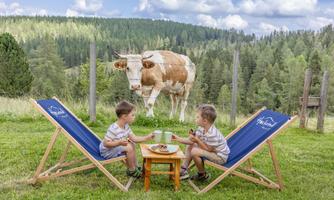 Two children are sitting in deck chairs and enjoying snacks. In the background, you can see a cow and a green landscape.