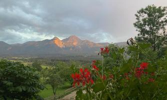 A beautiful view of mountains in the background, illuminated by the evening sun. In the foreground, red flowers are blooming.