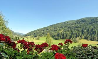 A picturesque landscape with red flowers in the foreground. In the background, green mountains stretch out under a clear blue sky.
