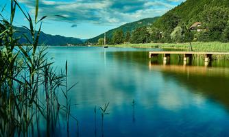 A quiet lake surrounded by green hills and trees. In the foreground, reeds and a wooden walkway can be seen.