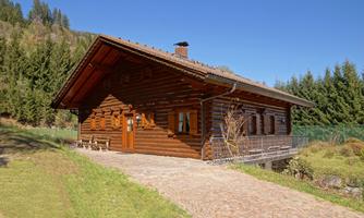A cozy wooden house in nature.  
Surrounded by trees and clear skies, it offers an inviting atmosphere.