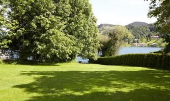 A green meadow with a large tree in the foreground. In the background, a calm lake flows and gentle hills are visible in the distance.