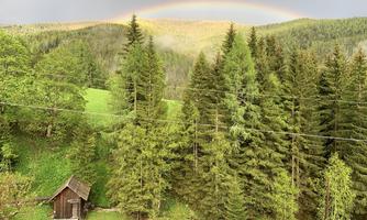 A picturesque valley with green meadows and tall, green trees. In the background, a rainbow can be seen over the hills.