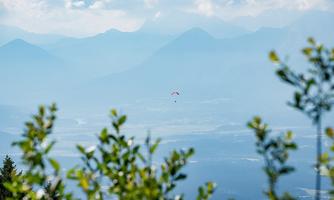 A paragliding athlete soars over a wooded landscape. In the background, gentle mountains and a misty atmosphere can be seen.