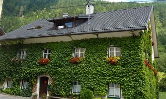 A charming house surrounded by green ivy. The windows are adorned with colorful flower boxes, and gentle hills can be seen in the background.
