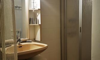 A modern bathroom with sink, mirror, and shower. The walls are light and there is wooden flooring.