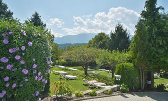 A beautiful garden with colorful flowers and green trees. In the background, mountains and a clear sky can be seen.