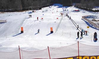 A snow-covered ski slope with many skiers. In the background, there are trees and a blue sky.