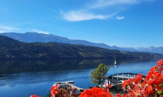 A calm lake surrounded by mountains and green forests. Red flowers in the foreground and a sailboat on the water.