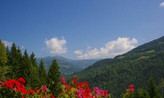 A picturesque mountain landscape with green hills and blooming flowers in the foreground. The sky is clear and blue, with a few white clouds.