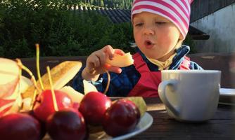 A small child is sitting outside and enjoying fresh fruit. On the table, there are cherries, apples, and a coffee cup.