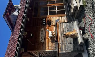 A charming wooden cabin with a dog and a cat in front of the door. The cabin has a red roof and an inviting atmosphere.