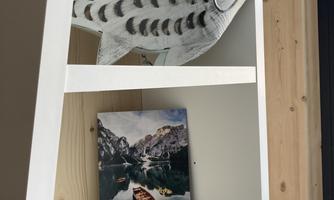 A shelf with a decorative fish and a picture of a boat on a calm lake. In the background, mountains and a clear sky are visible.