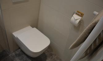 A modern toilet in a small bathroom. Next to the toilet, toilet paper hangs on a holder.