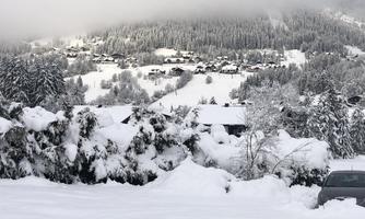 A snowy landscape with snow-covered trees and hills. In the background, houses and fog can be seen.