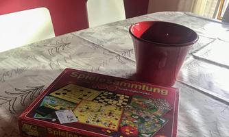 A table with a game box and a red flower pot. The wall in the background is red, and the sun is shining on the surface.