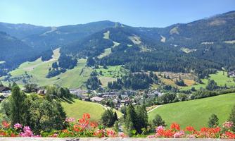 A picturesque mountain landscape with green meadows and wooded hills. Colorful flowers are blooming in the foreground.