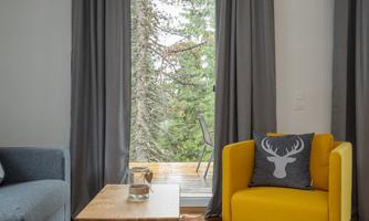 A cozy living room with a gray sofa and a yellow armchair. Large windows let in plenty of daylight and offer a view of nature.
