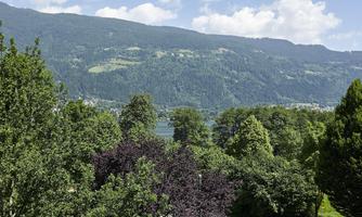 A picturesque landscape with tall trees and gentle hills. In the background, the mountains and a clear sky are visible.