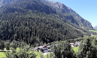 A picturesque landscape with high mountains and dense forests. In the foreground, there are green meadows and some wine and residential houses.