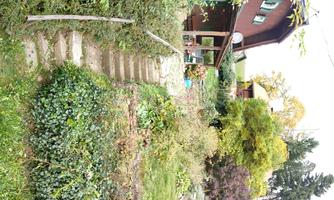 A green garden with stairs and many plants. In the background, there is a cozy house.